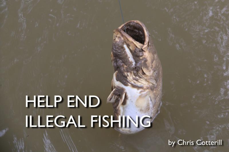 Help End Illegal Fishing