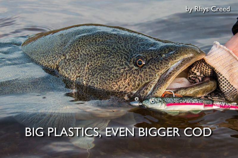 Big Plastics, Even Bigger Cod