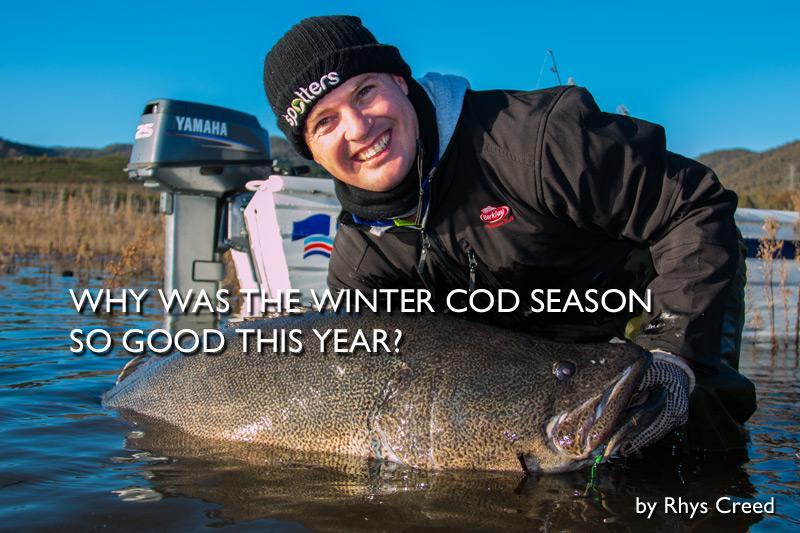 Why was the Winter Cod Season so good this year?