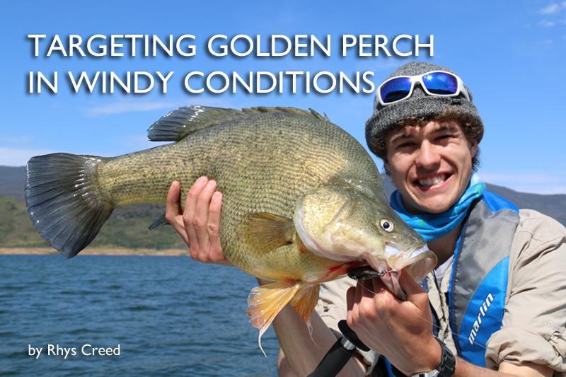 Targeting Golden Perch in Windy Conditions