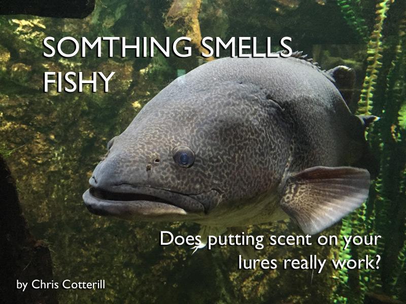 Something Smells Fishy – Does putting scent on your lures really work?