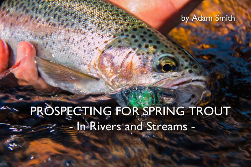 Prospecting for Spring Trout in Rivers and Streams