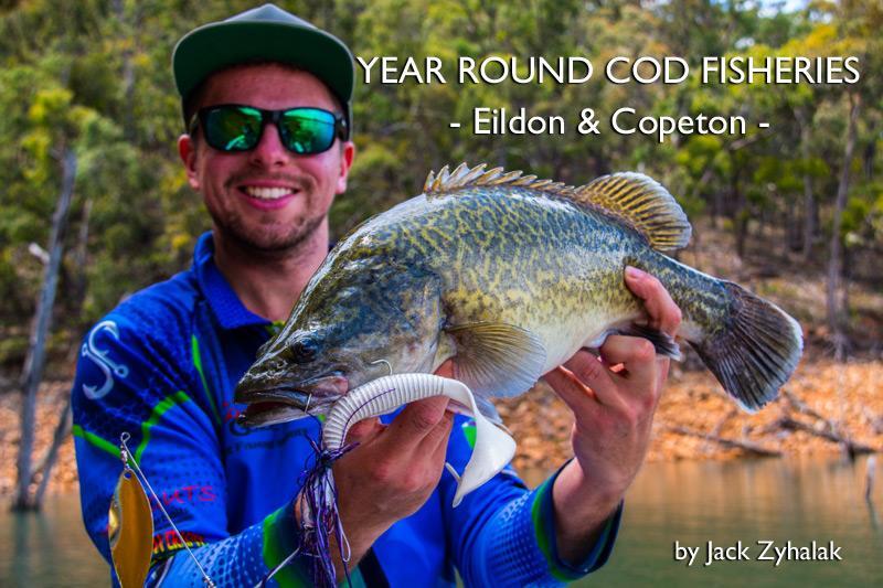 Year Round Cod Fisheries – Eildon and Copeton