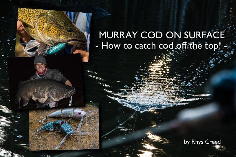 Murray Cod on Surface: How to catch cod off the top!