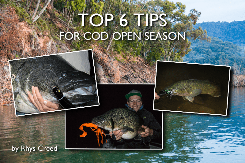 Top 6 Tips for Cod Opening Season