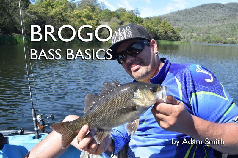 Brogo Bass Basics