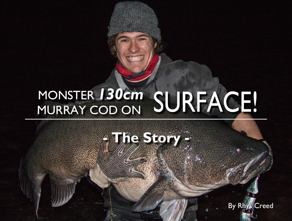 Monster 130cm Murray Cod on Surface: The Story