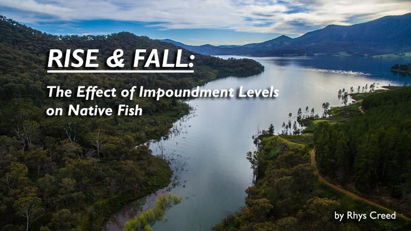 Rise & Fall: The Effect of Impoundment Levels on Native Fish