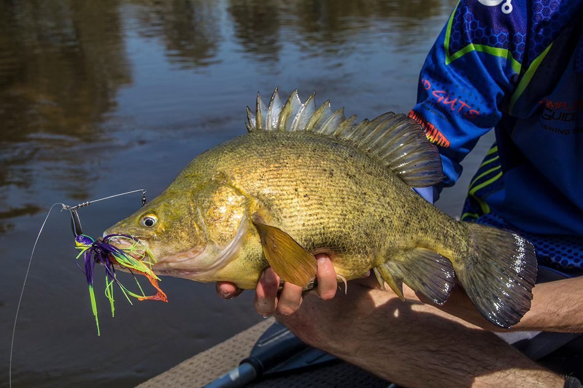 Social Fishing Update – September 2017