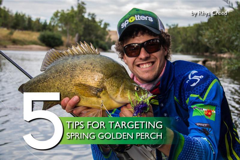 5 Tips for Targeting Spring Golden Perch