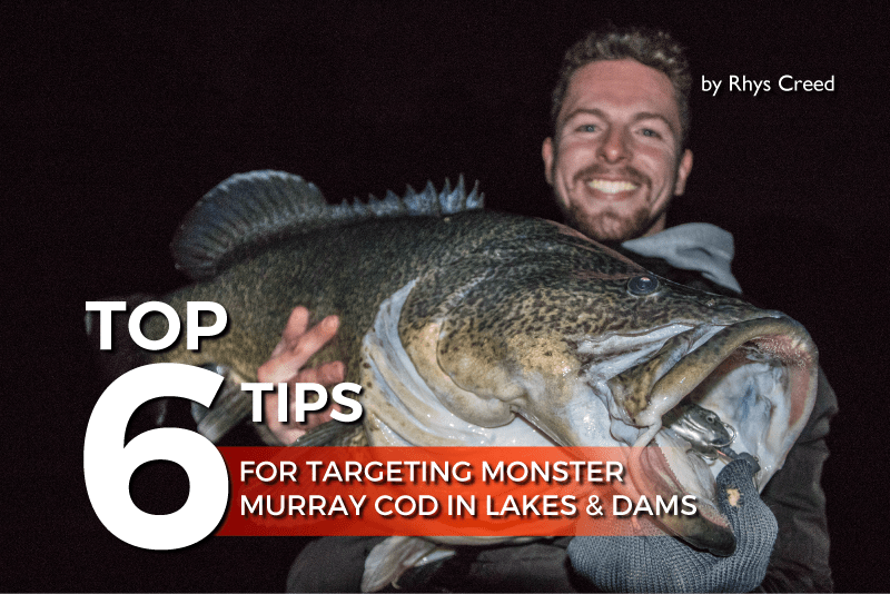 Top 6 Tips for Targeting Monster Murray Cod in Lakes and Dams