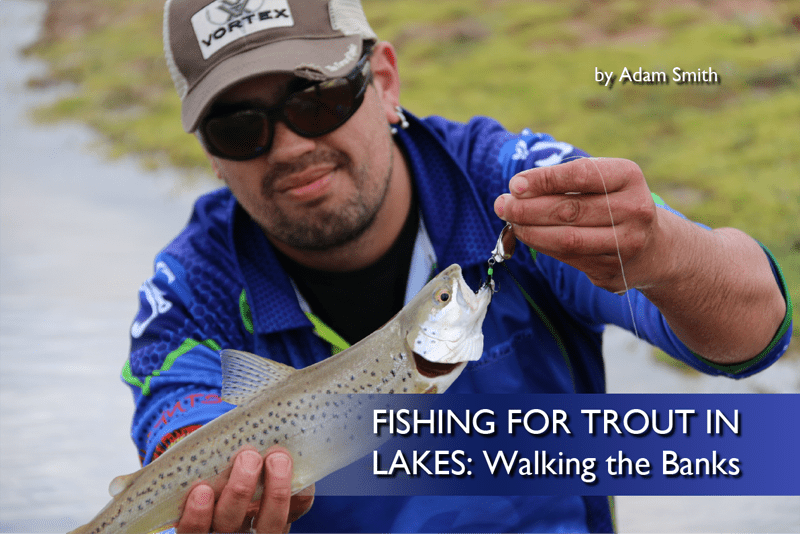 Fishing for Trout in Lakes: Walking the Banks