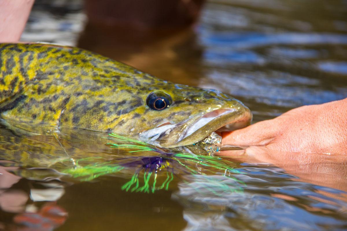 Fishing Clear Water – Successful Tip for the Middle of the Day