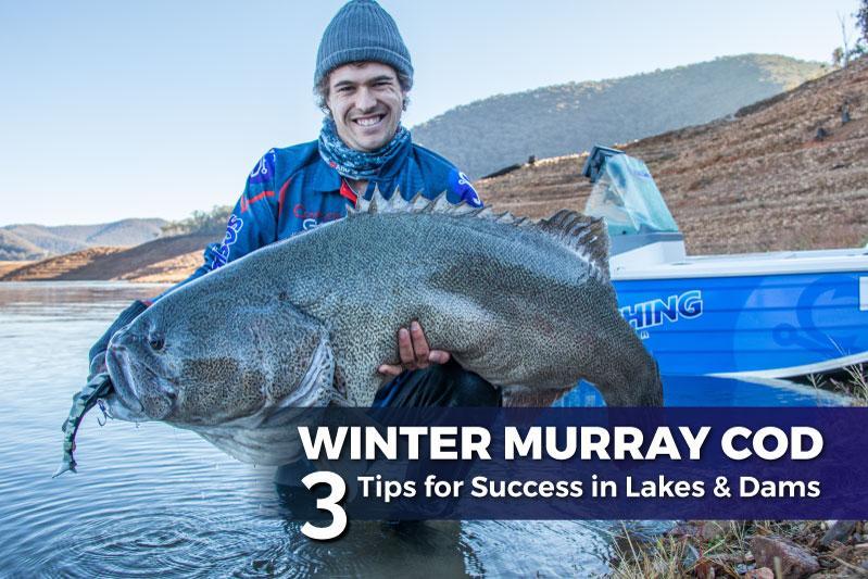 Winter Murray Cod: 3 Tips for Success in Lakes & Dams