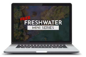 Laptop with a preview for the series