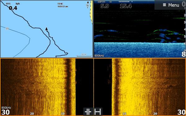 Screenshot of a fish finder/sounder that shows baitfish