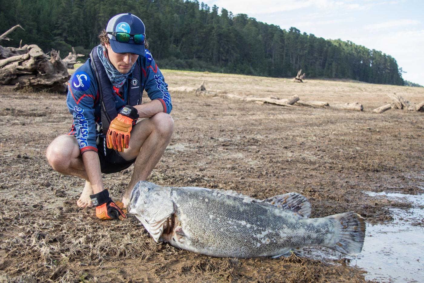 Massive Murray Cod Deaths in Blowering Dam 2019 – What has happened?
